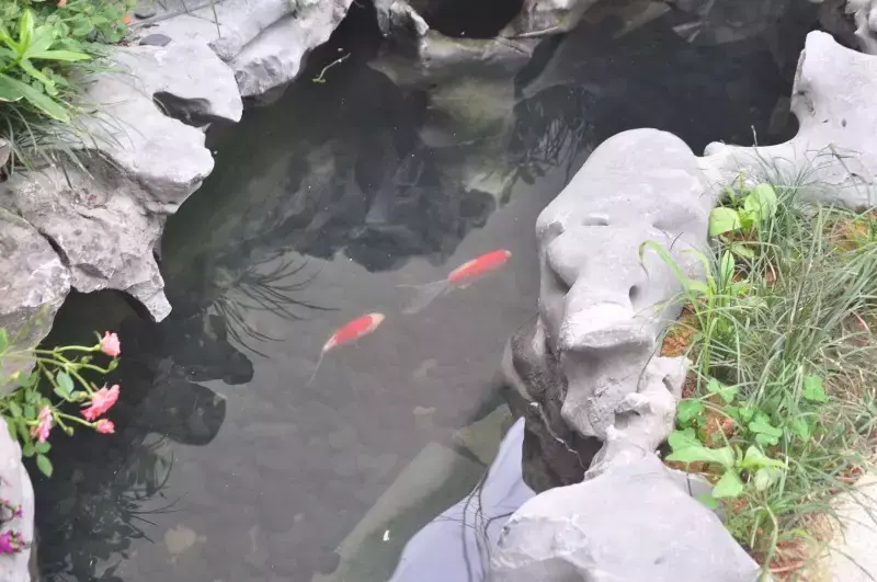 农村院子风水图解 农村小院风水大全