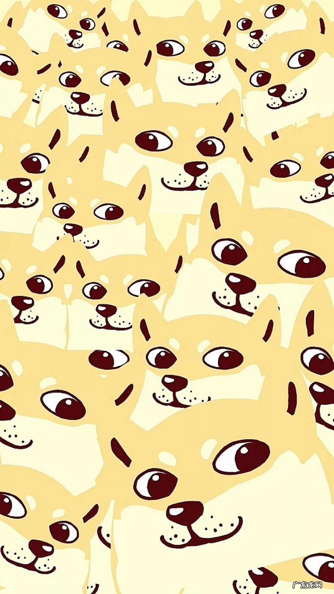 美女100%露出全身无遮挡 黄色照片