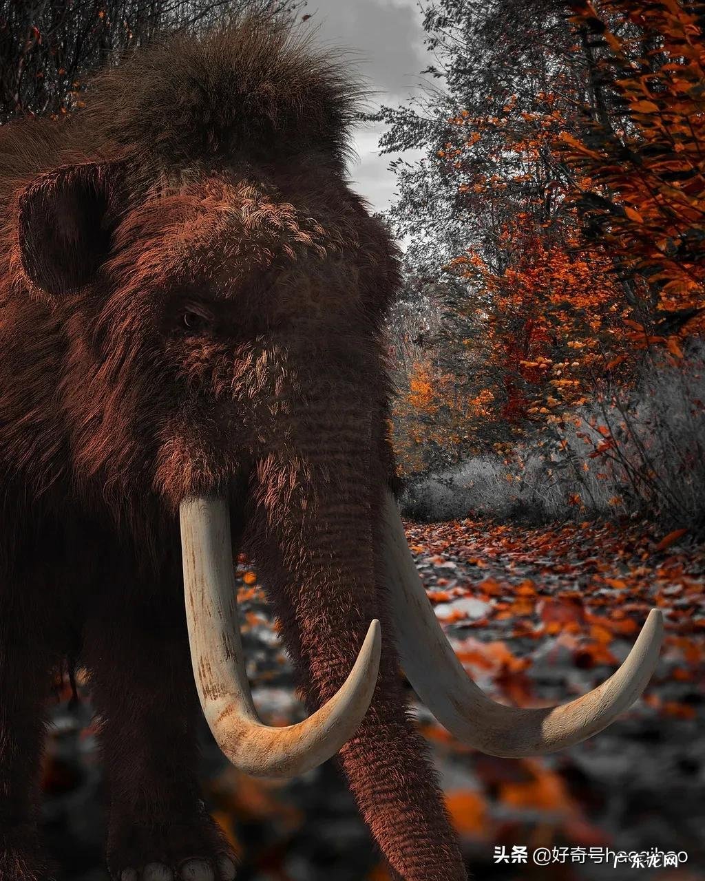 冰雪猛犸象怎么获得 重型冰雪猛犸象怎么获得