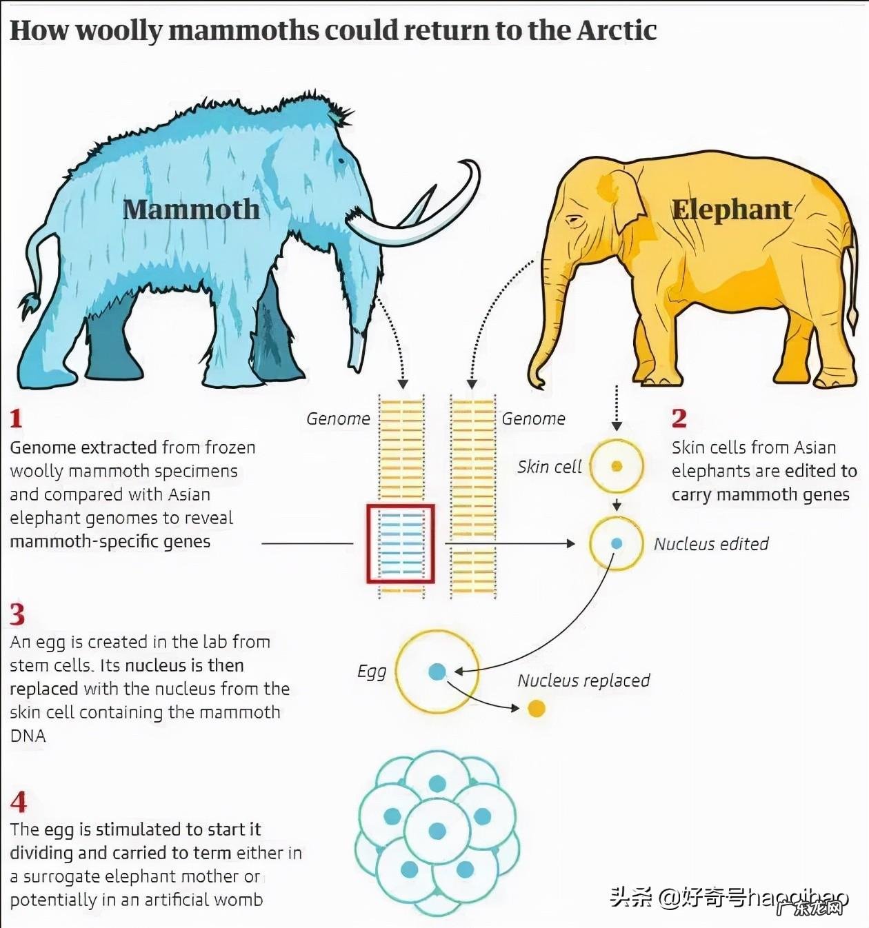 冰雪猛犸象怎么获得 重型冰雪猛犸象怎么获得
