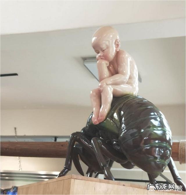 我儿子被蚌埠医学院“预防医学”专业录取,请问预防医学就业前景怎样?