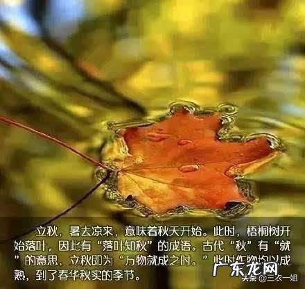 秋老虎也分公母的,今年秋老虎是公是母呢?