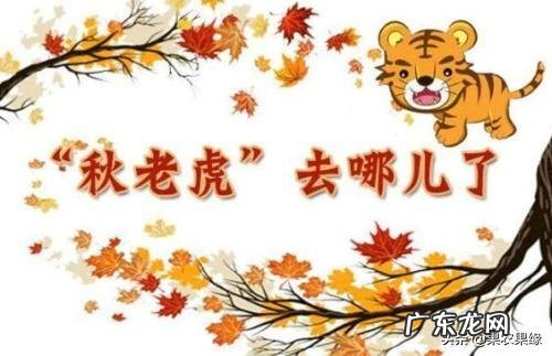 秋老虎也分公母的,今年秋老虎是公是母呢?