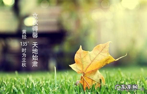 秋老虎也分公母的,今年秋老虎是公是母呢?