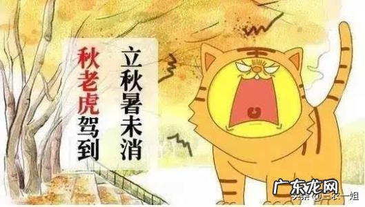 秋老虎也分公母的,今年秋老虎是公是母呢?