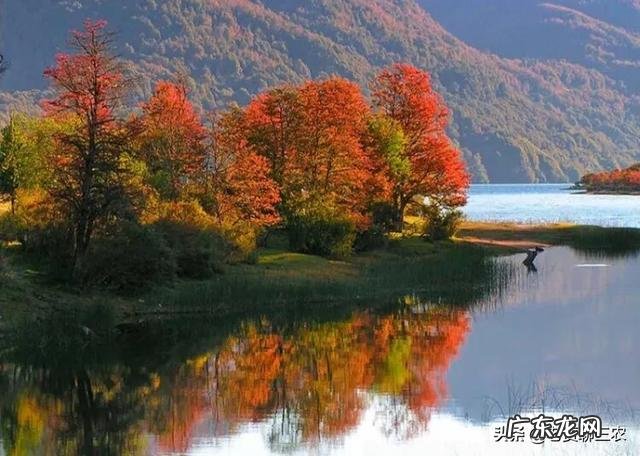 秋老虎也分公母的,今年秋老虎是公是母呢?