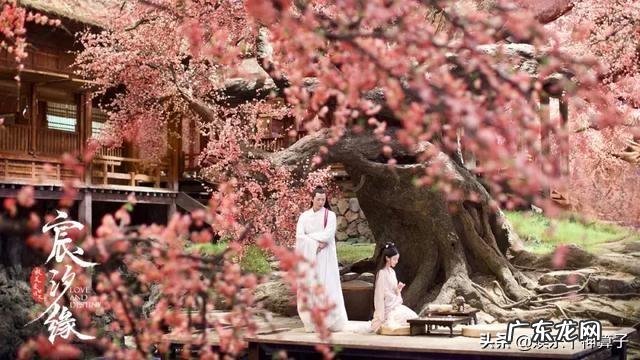 人民网发文批评《宸汐缘》“造型无新意、选角不合适、故事大杂烩”,对此你怎么看?