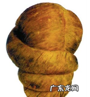 假发排行榜 假发知名品牌排行榜