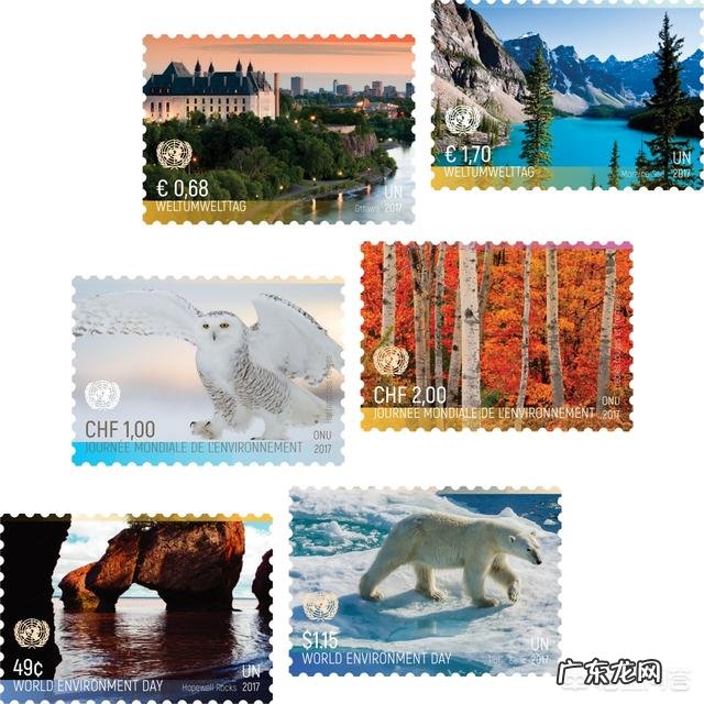 联合国的官方语言是哪几个？