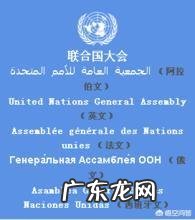 联合国的官方语言是哪几个？