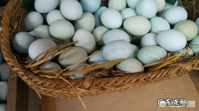 农村有种土鸡蛋是绿壳的,怎样才能和鸭蛋区分呢?