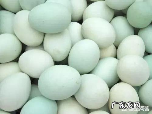 农村有种土鸡蛋是绿壳的,怎样才能和鸭蛋区分呢?