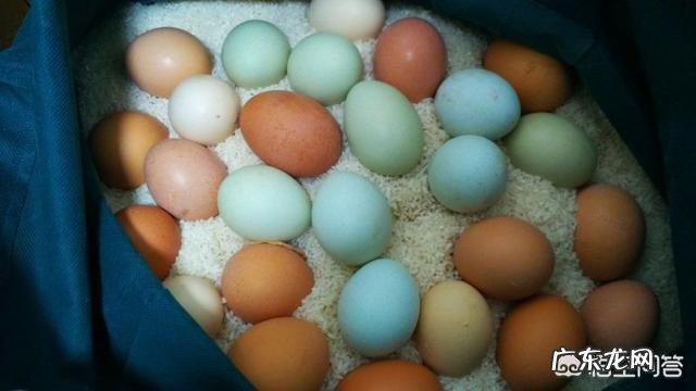 农村有种土鸡蛋是绿壳的,怎样才能和鸭蛋区分呢?