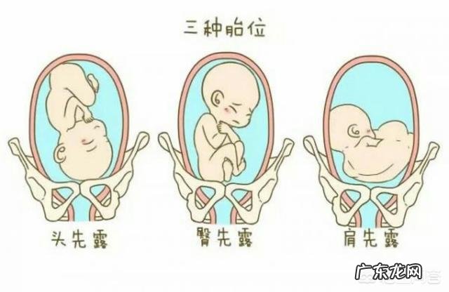 怀孕7个月宝宝是在什么位置的?怎么判断?