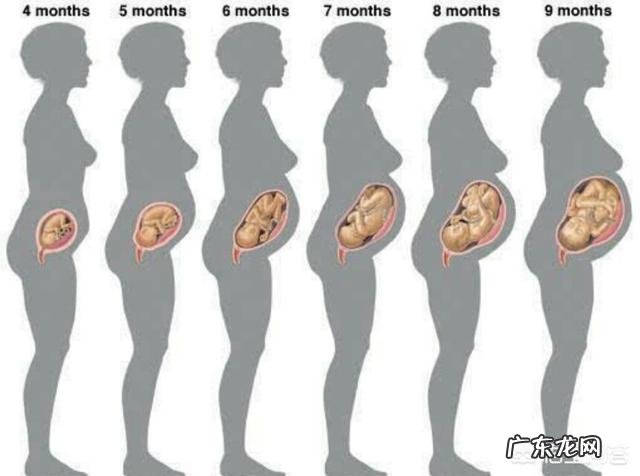 怀孕7个月宝宝是在什么位置的?怎么判断?