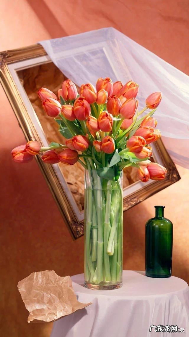 没经验,创业可以做什么?