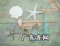 用贝壳做简易手工艺品 你值得收藏