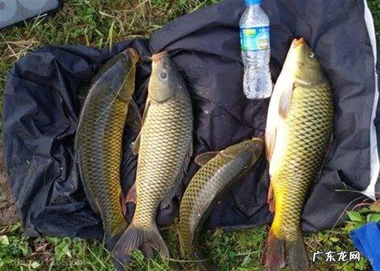 冬天水库钓位 水库钓鱼风向与钓位