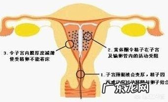 节育环可以不取吗?需要注意什么?