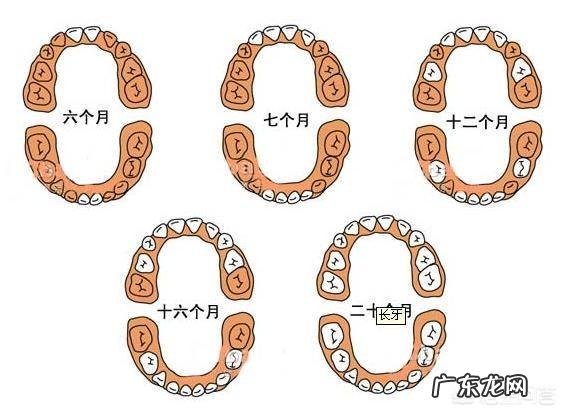 宝宝出牙晚不能晚过几个月啊?