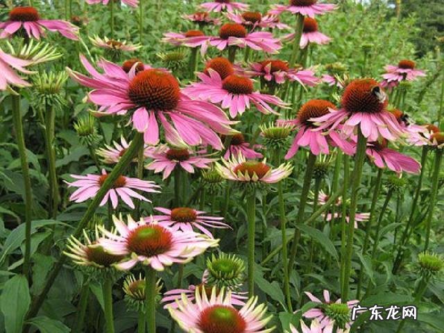 受益无穷的句子 受益无穷造句子