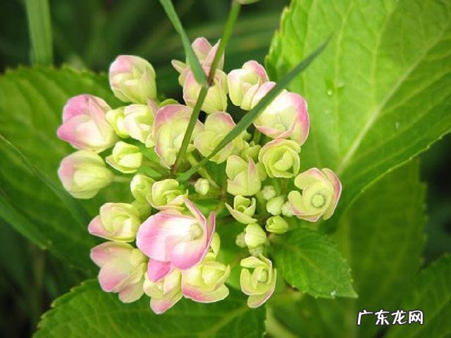 受益无穷的句子 受益无穷造句子