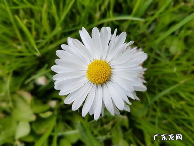 受益无穷的句子 受益无穷造句子