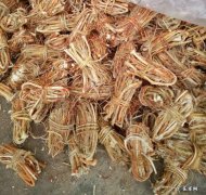 五指毛桃煲汤配什么祛湿