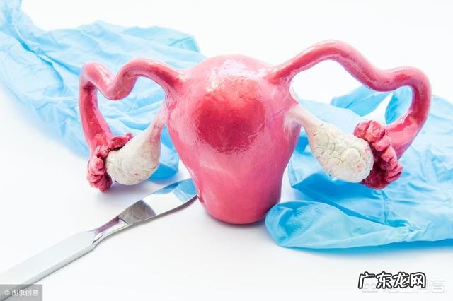 请问,步入中年的女性该如何保养卵巢以延长绝经年龄防止早衰?