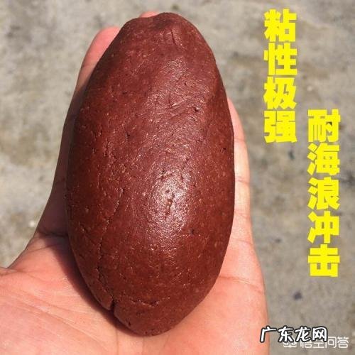 海中钓鱼用什么饵?