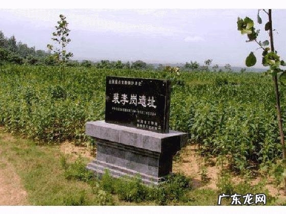 考古探险有多危险?