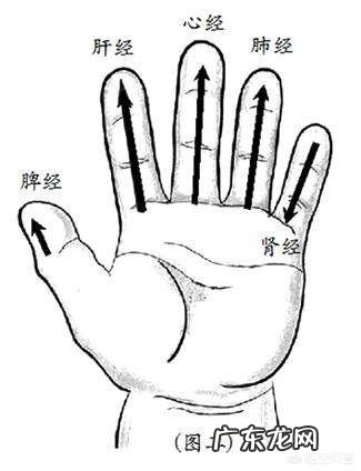 小儿推拿没有任何基础的话可以学吗?难吗?