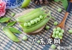 豌豆有什么功效?