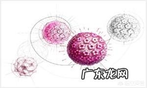 HPV怎么治疗?