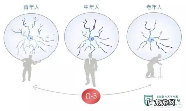 补脑最快的食物有哪些?