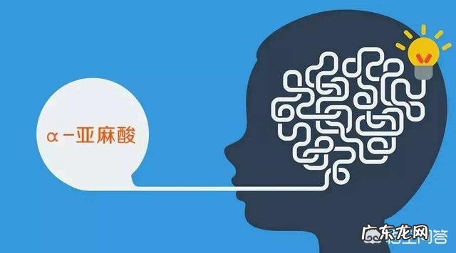 补脑最快的食物有哪些?