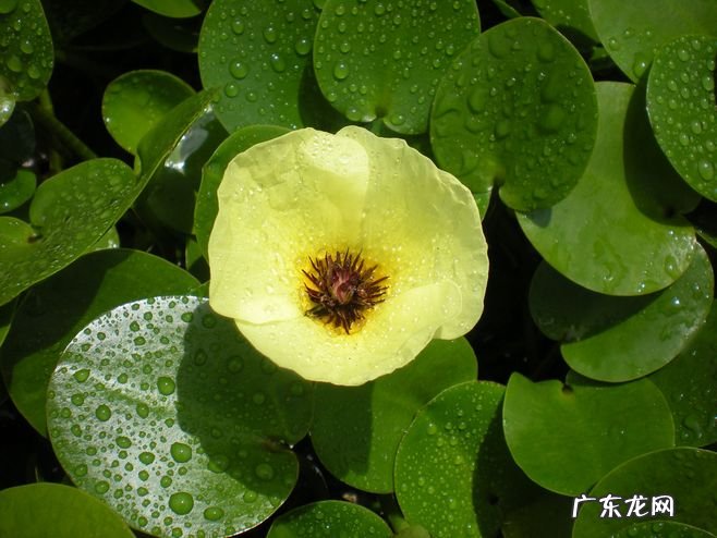 精选了茨威格的28个名句,一起进入这位小说大家的精神世界! 茨威格名言名句