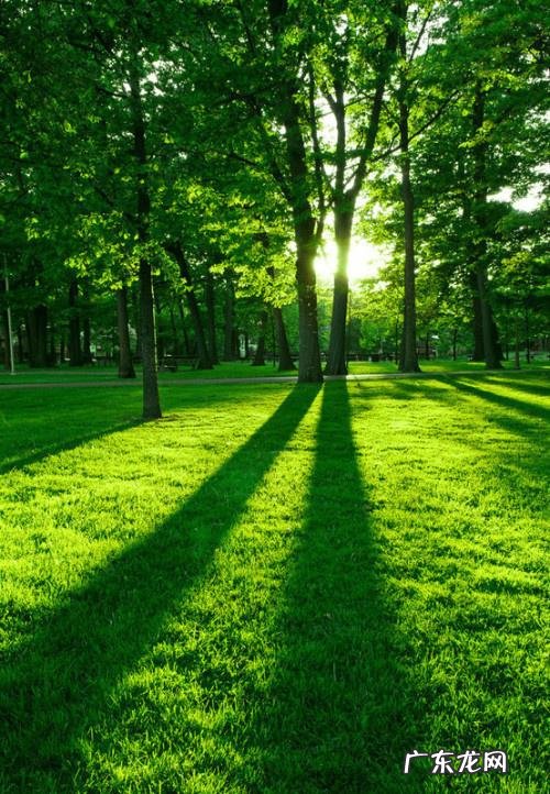 经典语录：张牙舞爪的人，往往是脆弱的 张牙舞爪造句子