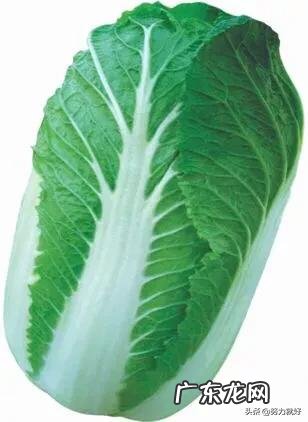 大白菜捆绑起来以后，要如何管理？