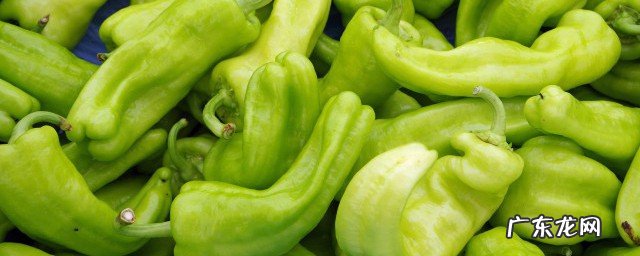 简单易做的家常小菜