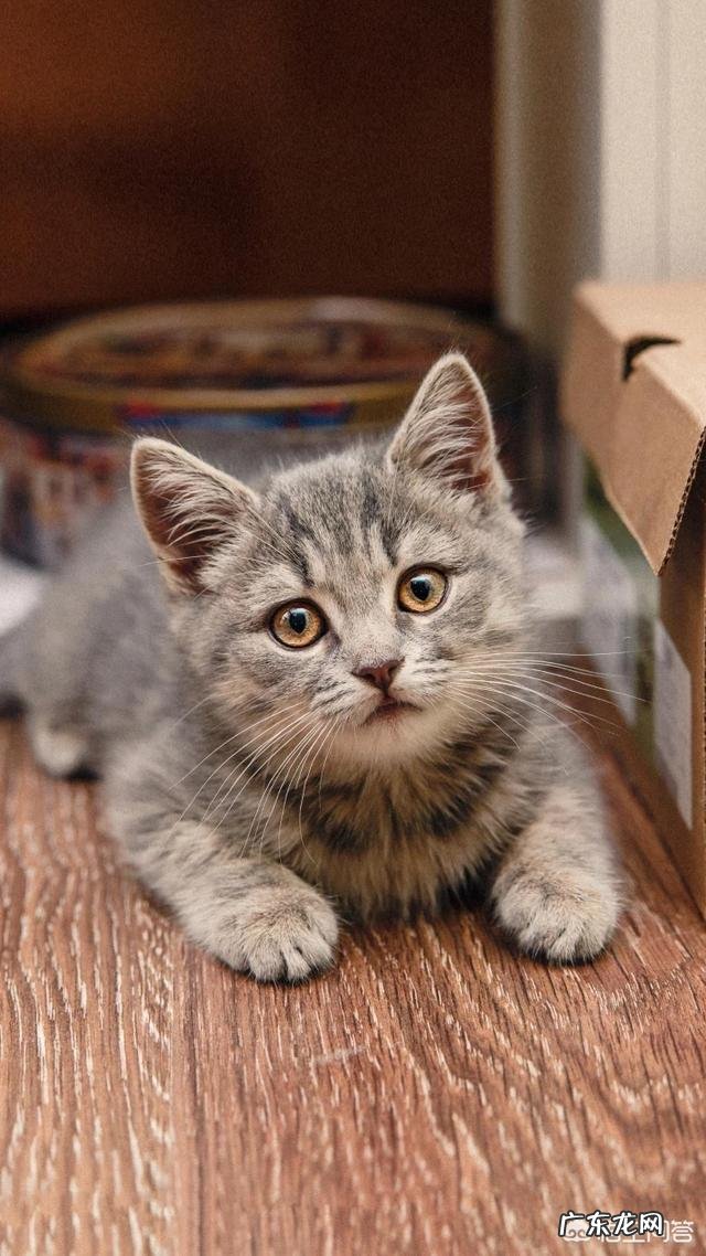 成功的人生,一定是好人生吗?