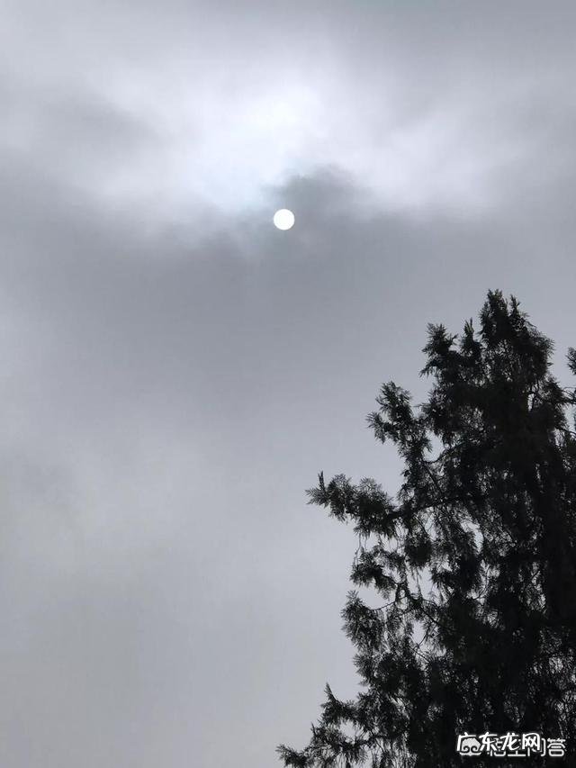 生活上的一些科普知识有哪些?