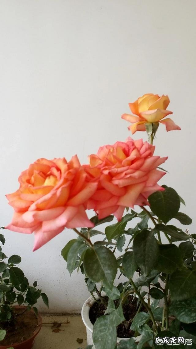 生活上的一些科普知识有哪些?