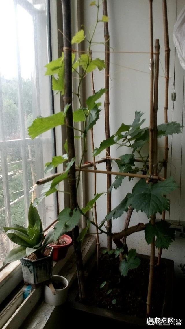 生活上的一些科普知识有哪些?