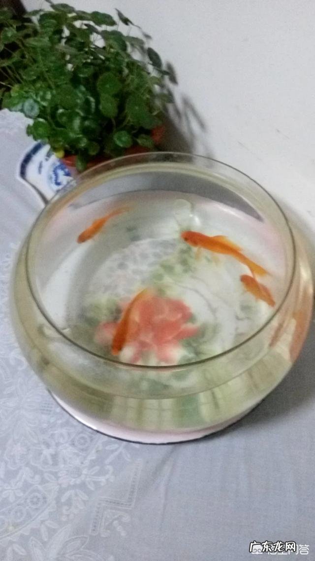 生活上的一些科普知识有哪些?