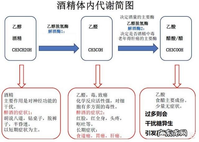 怎么喝酒才对身体好？