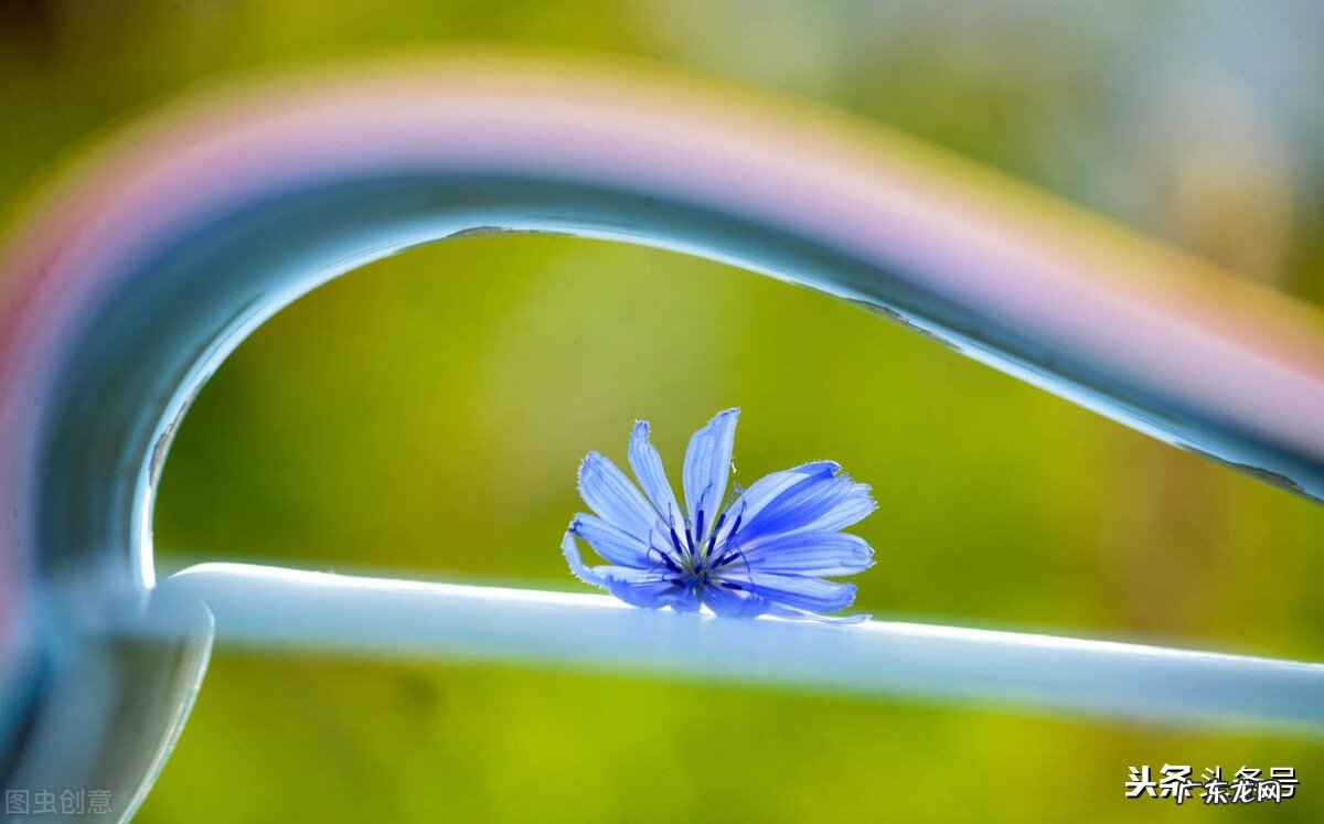 成语 - 兵不厌诈 兵不厌诈造句大全