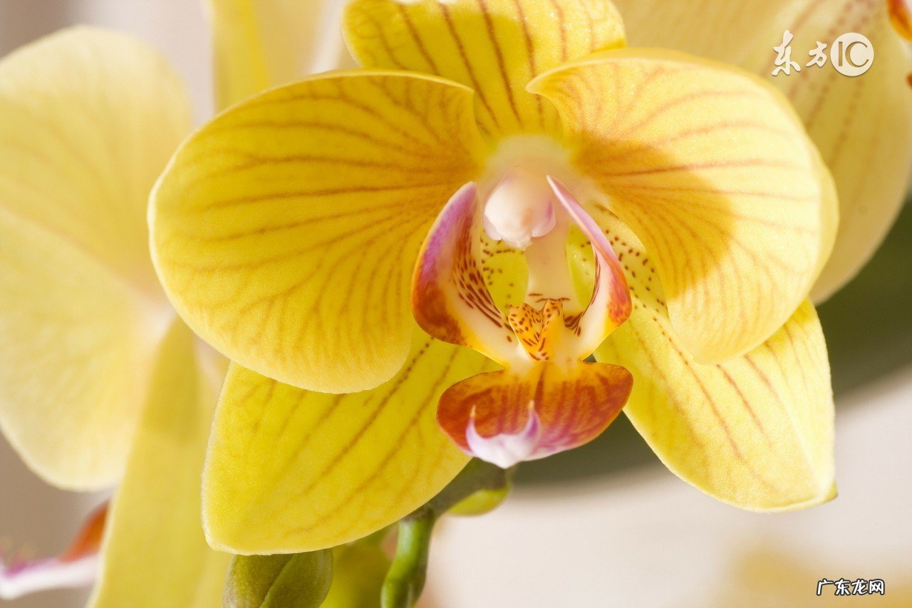 提高个人修养的10条格言 修养的名句