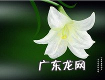 ps钢笔工具抠图教程 你学会抠图了吗