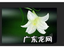 ps钢笔工具抠图教程 你学会抠图了吗